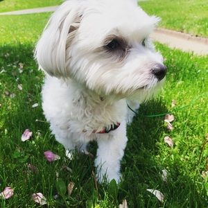 Meet your Posher, Nicole